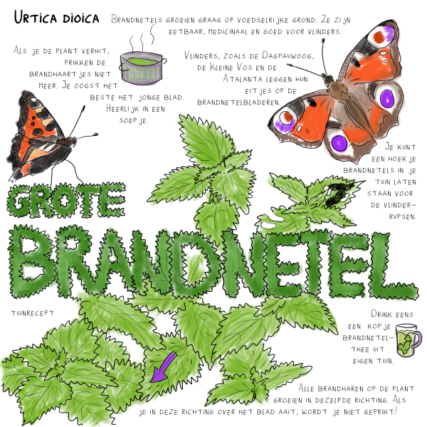 Tuinrecept