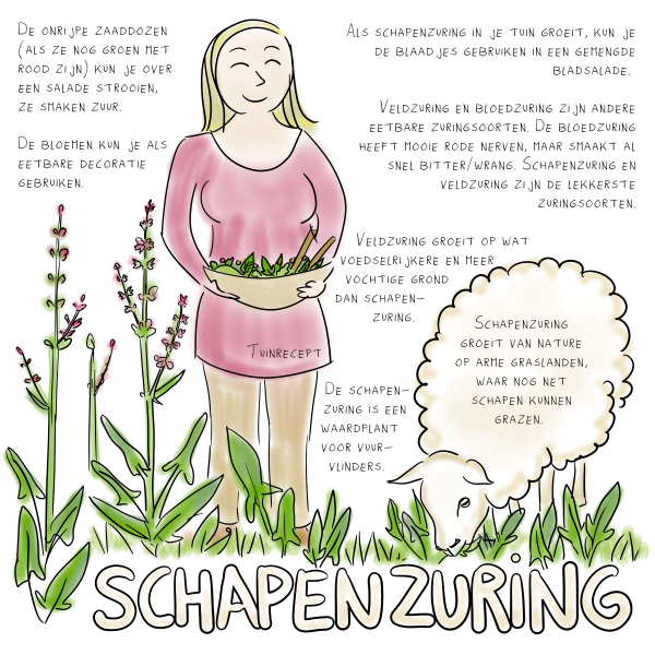 Tuinrecept