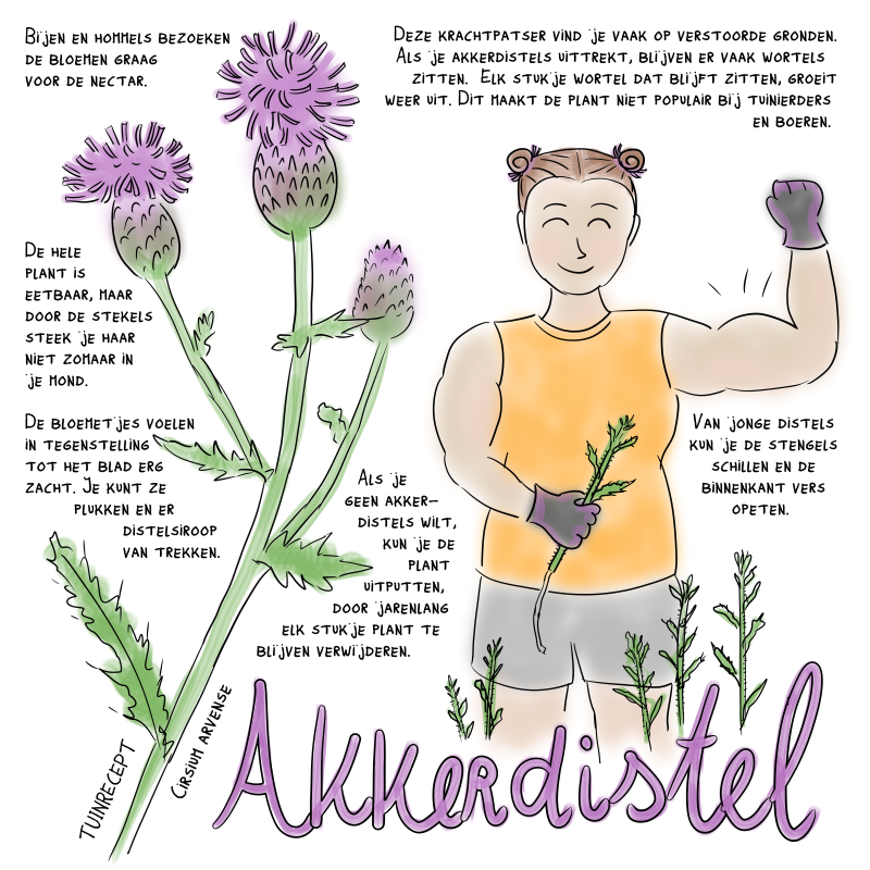 Tuinrecept