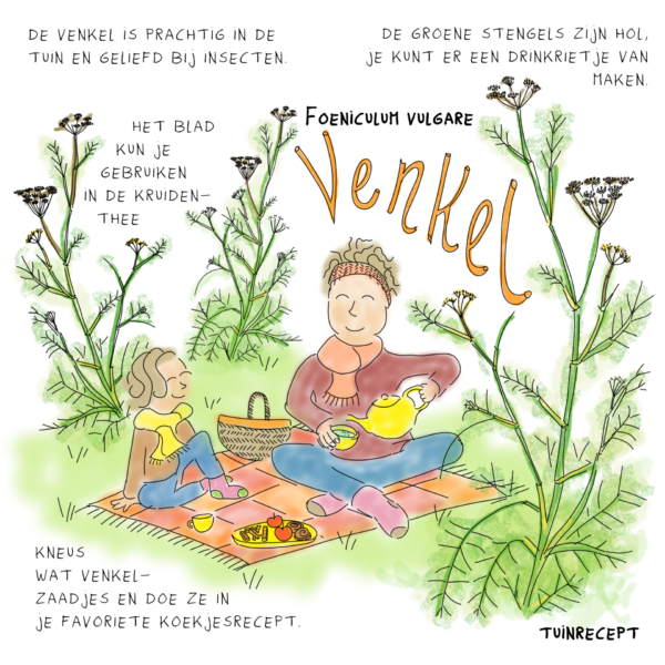 Tuinrecept