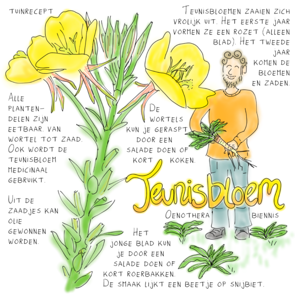 Tuinrecept
