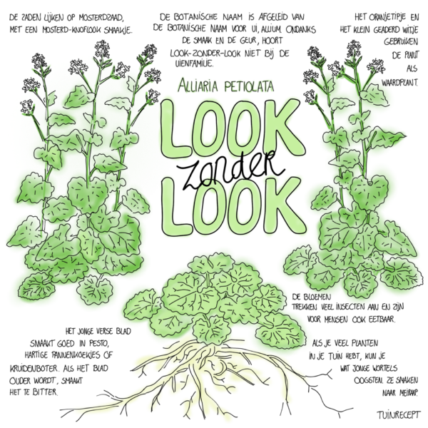 Tuinrecept
