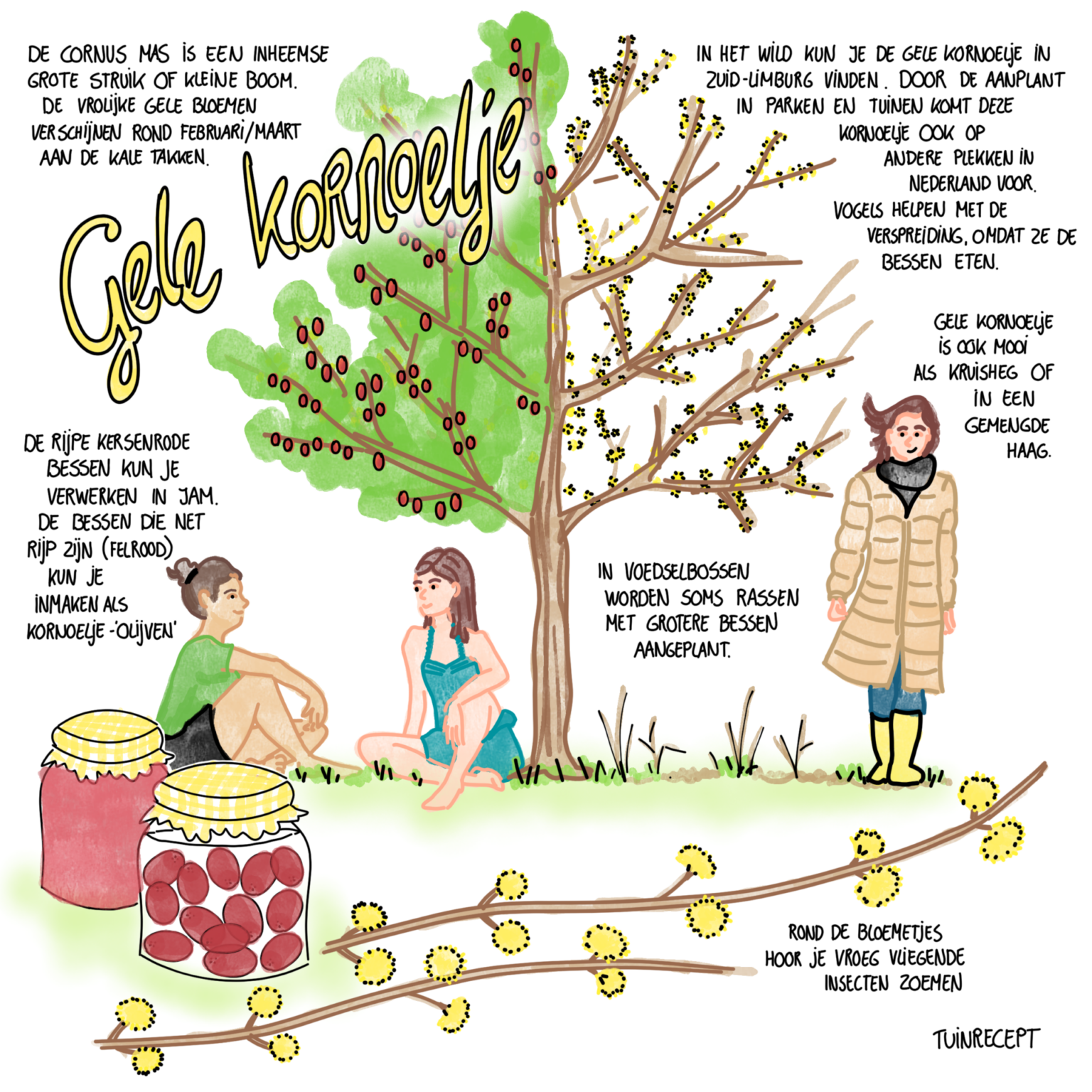 Tuinrecept