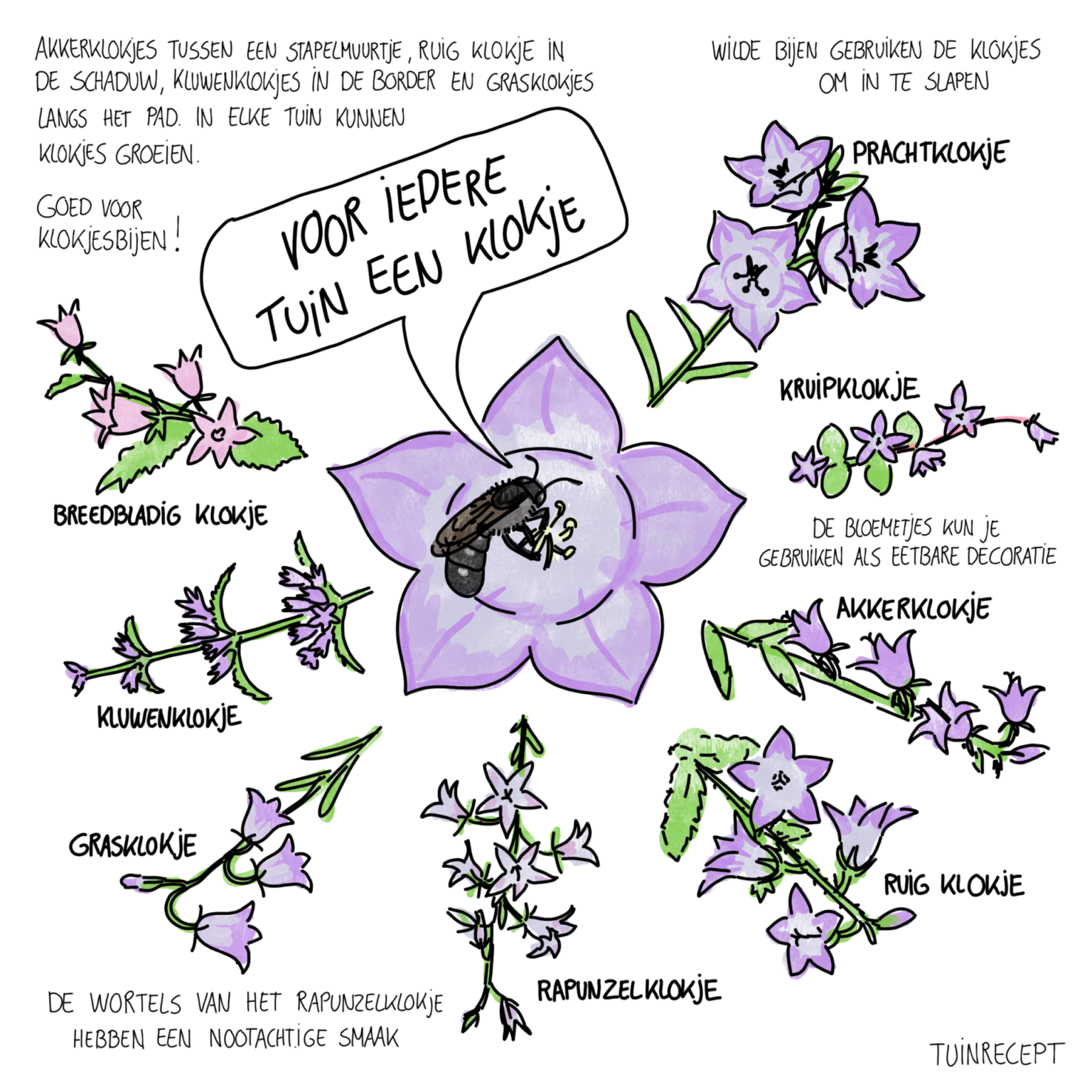 Tuinrecept