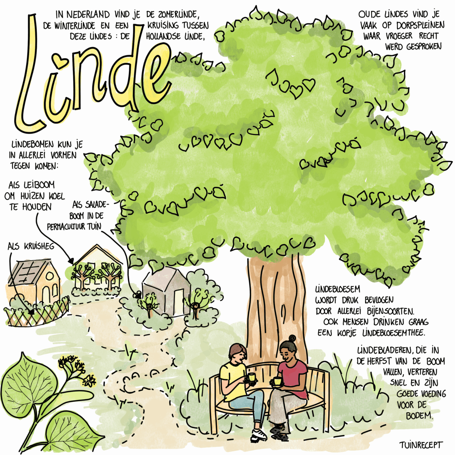 Tuinrecept