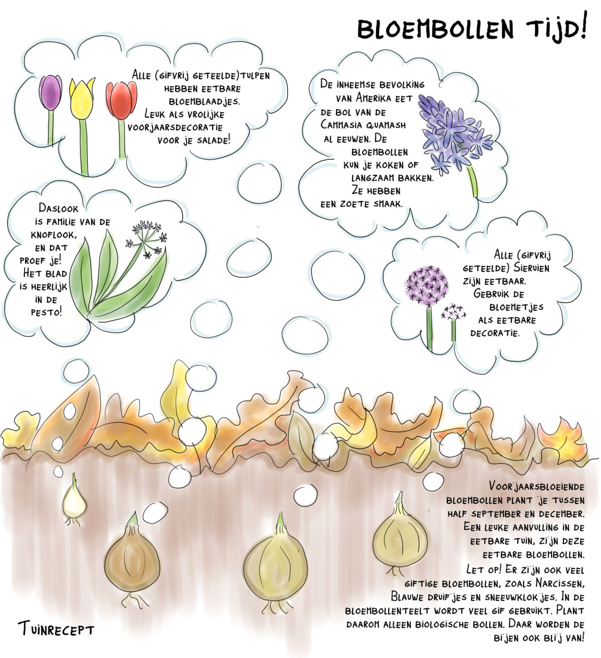 Tuinrecept