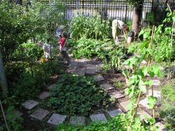 Moestuin voor kleuters. Foto: Tuinen die verbinden