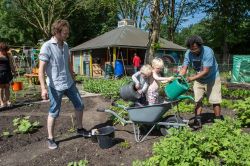 Buurtmoestuin in speeltuin Noordse Park, Utrecht. Foto: Tuinen die verbinden