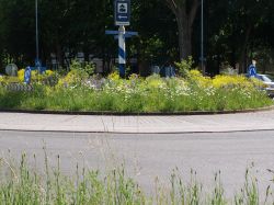 Vlinderrotonde Wageningen, beplanting. Foto: Paardekooper Tuinen Vlinderrotonde Wageningen, beplanting. Foto: Paardekooper Tuinen