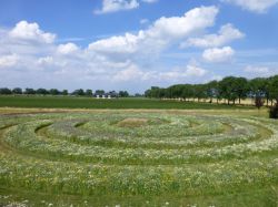 Tijdelijke spiraalakker in de Wilde Weelde Wereld in Appeltern 