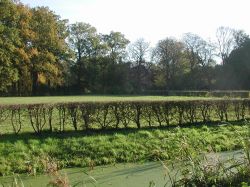 Landgoedontwikkeling met respect voor natuurlijke biodiversiteit Foto: Ruurd van Donkelaar groenadvies