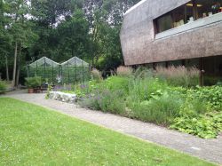 Zintuigentuin Willem Felsoord in Delft. Foto: Q Groenbeheer
