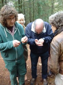 Het proeven van een heksenei: het smaakt naar radijs! foto Pip Gilmore Het proeven van een heksenei: het smaakt naar radijs! foto Pip Gilmore