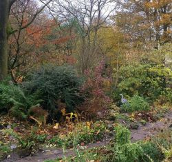 Foto van de site van Hortus botanicus Amsterdam