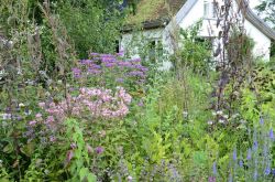 Tuin kwekerij Ninabel. Foto: Wankja Ferguson