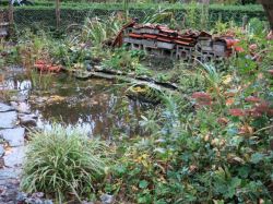 Vijver in de herfst. Foto: Gerdien Griffioen Tuinadvies