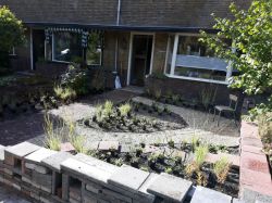 Plantdag Plantdag