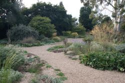 Gravelgarden Beth Chatto Gravelgarden Beth Chatto