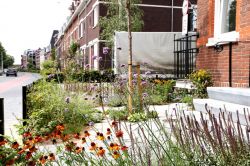 Stadstuin BLOEI! Stadstuin BLOEI!
