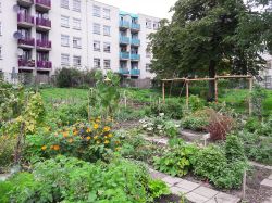 De tuin met pergola De tuin met pergola